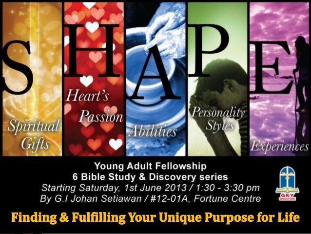 S.H.A.P.E.: Finding and Fulfilling Your Unique Purpose for Life